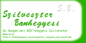 szilveszter banhegyesi business card